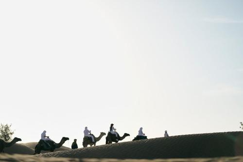 a group of people riding horses on the sand at CameLuxe Camp in Mhamid