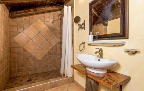 a bathroom with a sink and a shower at Villa Natura in Poljane