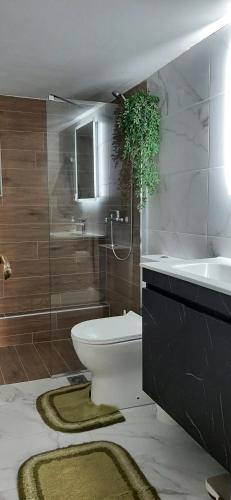 A bathroom at Koukaki View