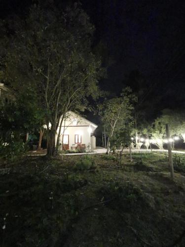 Κήπος έξω από το Baangaimuan