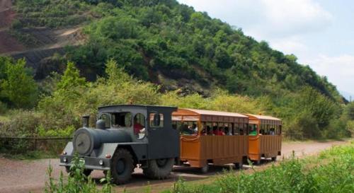 a group of train cars on a dirt road at La Casa dels Poetes in Santa Pau