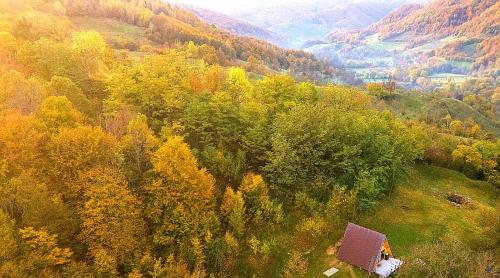an aerial view of a house on a hill with trees at Casuta dintre nuci 
