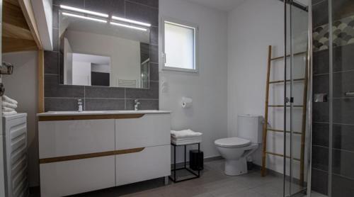 a bathroom with a toilet and a sink and a mirror at Gîte les lys Fleurs des Pyrénées in Argelès-Gazost