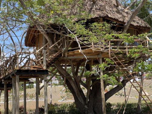a tree house in a tree at Antonio Beach Tree House Hotel & Spa in Uroa
