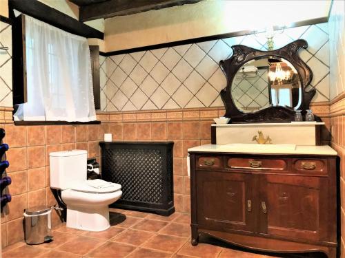 een badkamer met een toilet, een wastafel en een spiegel bij La Casa dels Poetes in Santa Pau