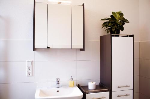 baño con lavabo y armario en Exklusives Apartment für 1 bis 3 Personen en Solingen