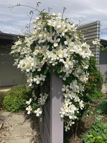 a door with a wreath of white flowers on it at Lookout Escape Studio, Alexandra in Alexandra