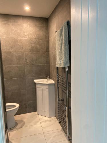 a bathroom with a sink and a toilet in it at Corporate Large Modern 4 to 5 Bedroom House in Bishops Stortford
