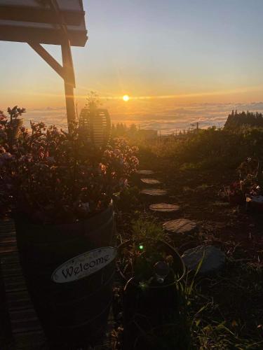 a view of the sunset from a house with plants at Chalet de Notre Dame in Le Tampon