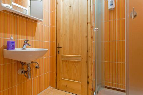 ein Bad mit einem Waschbecken und einer Dusche in der Unterkunft Andrea in Sertić Poljana - Haus für 6 Personen in Plitvička Jezera