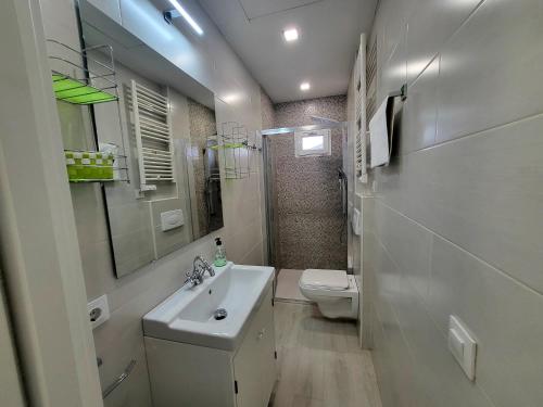 Apartamento Martinez del Campo في برغش: حمام أبيض مع حوض ومرحاض
