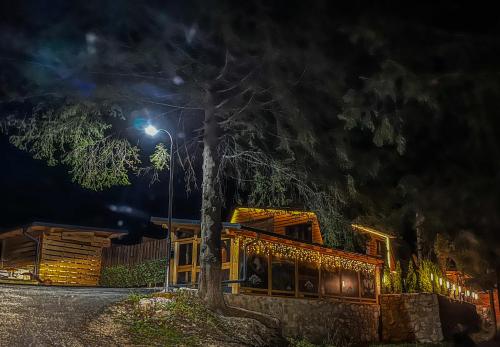 a house at night with a street light at Vila Bašić Vlašić Apartman VUK in Vlasic