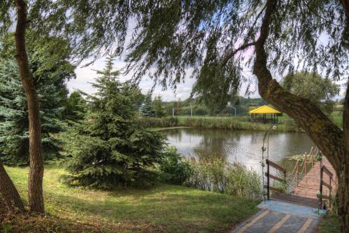 a pond in a park with a tree and a fence at Zacisze in Ulan