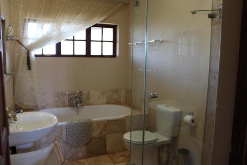 a bathroom with a sink and a toilet and a shower at Paul's Place in Dullstroom