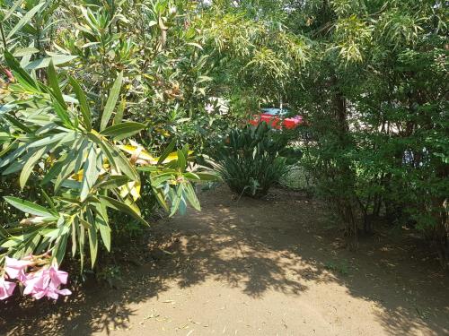 Giardino di Emma's BNB