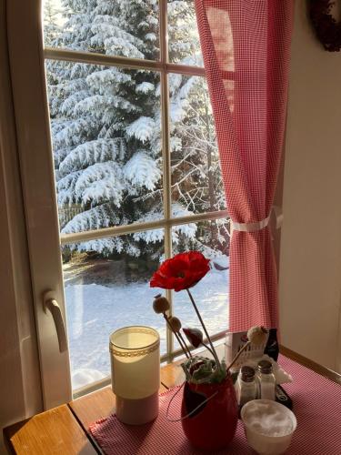 a table with a flower and a window with snow at Mała Bawaria in Zakopane