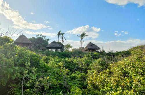 a group of huts on a hill with trees and bushes at Watamu Beach Cottages in Watamu