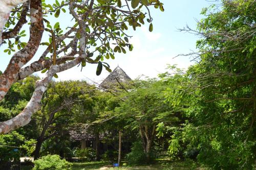 a building in the middle of a forest of trees at Watamu Beach Cottages in Watamu