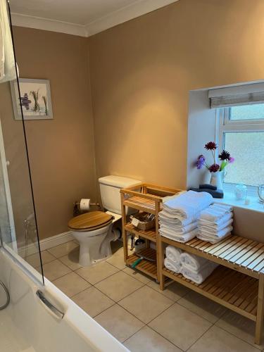 a bathroom with a toilet and a glass shower at Explorers Cottage, Yorkshire Wolds Character Home in Market Weighton