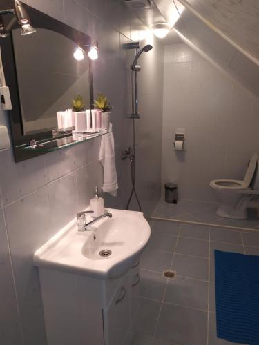 a bathroom with a sink and a mirror and a toilet at Apartmány Orava - Zuberec in Zuberec