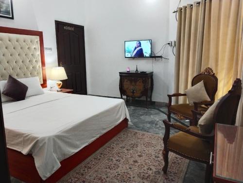 a bedroom with a bed and a tv and a chair at Homewood Suites Family Guest House & Apartments in Lahore