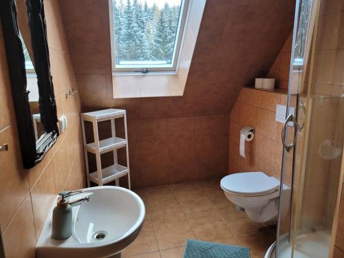 a small bathroom with a sink and a toilet at Góra Dzikowiec "Chata Dzika" in Boguszów-Gorce