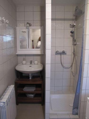 une salle de bain avec un lavabo et une douche dans l'établissement Gîte du figuier, à Fay-le-Clos