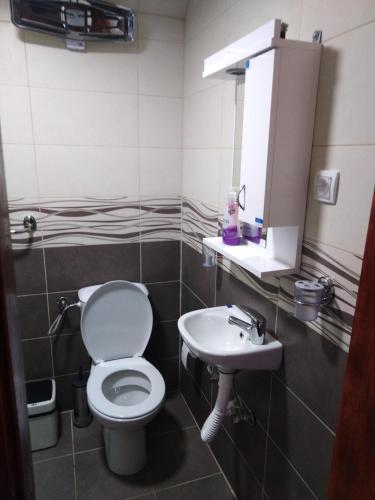 a bathroom with a toilet and a sink at Apartmani Jevremović in Guča