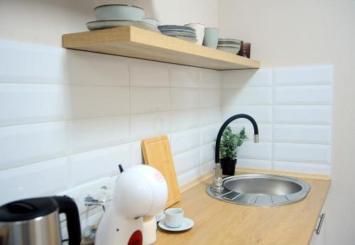 eine Küchentheke mit einem Mixer und einem Waschbecken in der Unterkunft BoHo Apartment near Center! in Chişinău