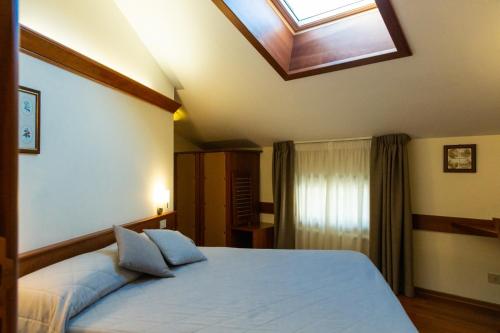a bedroom with a large bed with a skylight at Il Duca Degli Abruzzi in Pescasseroli