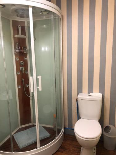 W łazience znajduje się toaleta i przeszklony prysznic. w obiekcie Les Forges w mieście Saint-Sornin-la-Marche