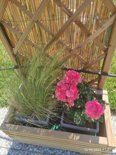 a wooden box with flowers and plants in it at Σοφίτα Μαρτά in Kalamos