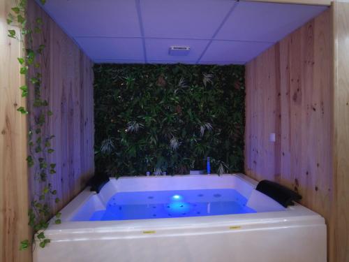 een jacuzzi in een kamer met een plant bij HOTEL DU BERRY - Loveroom avec Sauna, Hammam, Jacuzzi privatifs in Reuilly