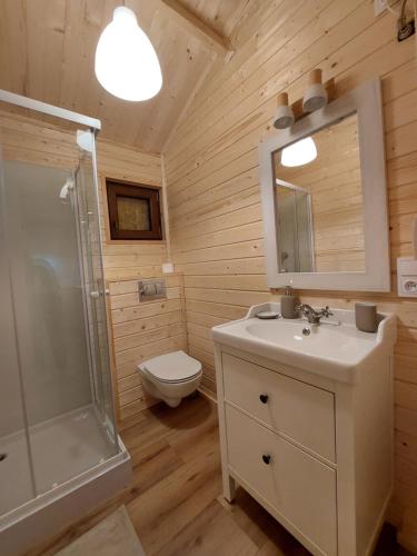 La salle de bains est pourvue d'un lavabo, d'une douche et de toilettes. dans l'établissement ŁAP LAS Wiktorowo, 