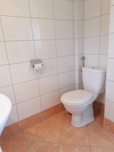 a bathroom with a white toilet and a tiled wall at Haus Alpenglühn in Abtenau