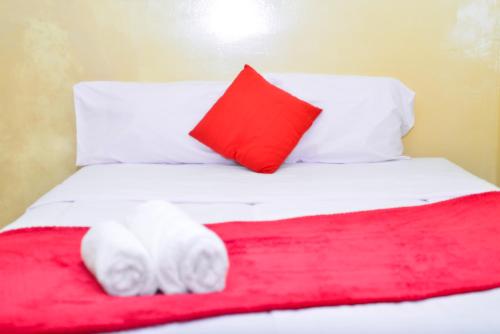 a bed with a red pillow and a red blanket at Avon Garden Apartments Area 25 in Lilongwe