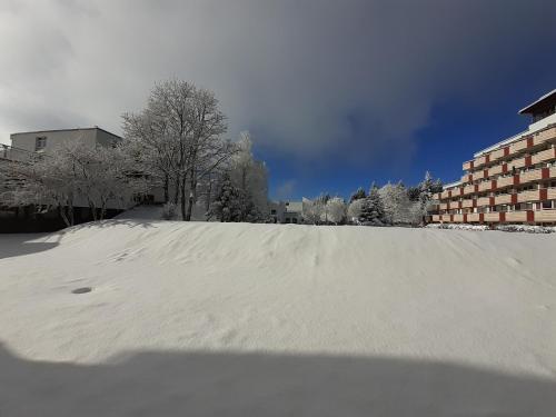 a snow covered parking lot with trees and buildings at Studio "Auszeit wie dahoam" im Predigtstuhl Resort in Sankt Englmar