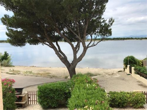Appartement Port Leucate, 3 pièces, 6 personnes - FR-1-81-122, Port Leucate  – Updated 2023 Prices