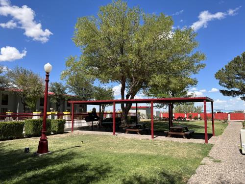 a picnic shelter in a park with a tree at Super 8 by Wyndham Ft Stockton in Fort Stockton