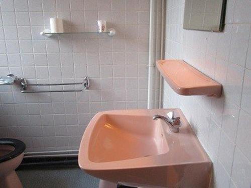 uma casa de banho com um lavatório rosa e um WC. em Appartement Cauterets, 3 pièces, 4 personnes - FR-1-234-141 em Cauterets