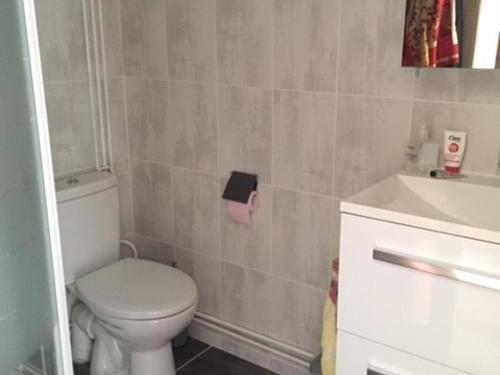 une salle de bain avec toilettes et lavabo dans l'établissement Pavillon T1+Mezzanine 4 pers, clim, parking, proche lac et plage - FR-1-81-404, à Port-Leucate