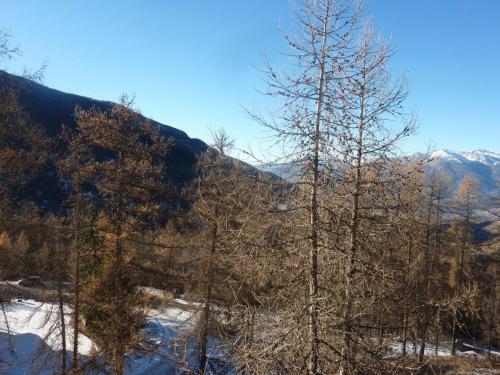 Appartement ski-in/ski-out 6 pers, balcon, proche jardin d'enfants - FR-1-322-204