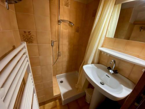La petite salle de bains est pourvue d'un lavabo et d'une douche. dans l'établissement Appartement Le Grand-Bornand, 1 pièce, 5 personnes - FR-1-241-165, au Grand-Bornand