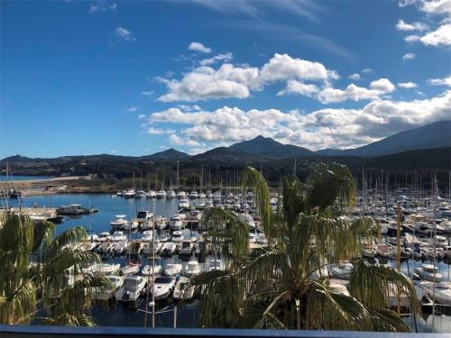 Appartement 2 pièces + mezzanine avec parking et climatisation, proche plage - Argelès-sur-Mer - FR-1-388-36