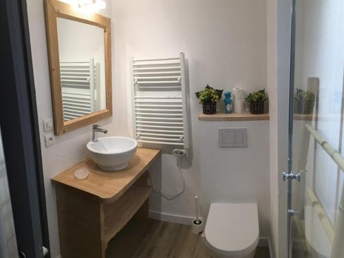 a bathroom with a sink and a toilet and a mirror at Appartement Montgenèvre, 2 pièces, 4 personnes - FR-1-266-107 in Montgenèvre