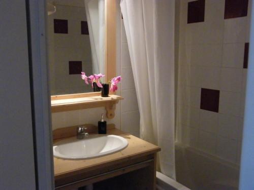 a bathroom with a sink and a mirror and a shower at Appartement Puy-Saint-Vincent, 2 pièces, 6 personnes - FR-1-330G-95 in Puy-Saint-Vincent