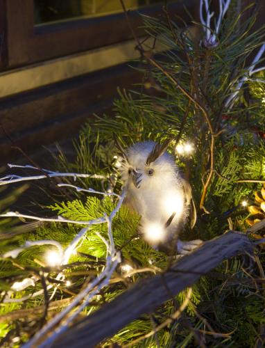 a small bird is sitting in a christmas tree at Restaurant A l'Aigle in Wimmenau