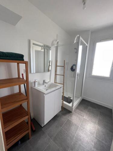 La salle de bains est pourvue d'un lavabo blanc et d'une douche. dans l'établissement ATLANTIS, à Saint-Nazaire