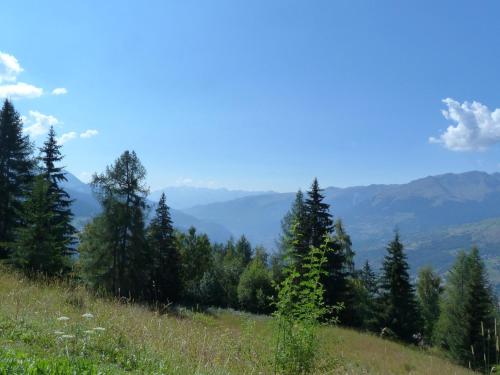 Photo de la galerie de l'établissement Appartement 2 pièces pour 5, près des pistes à Arc 1800, parking optionnel - FR-1-411-205, à Arc 1800