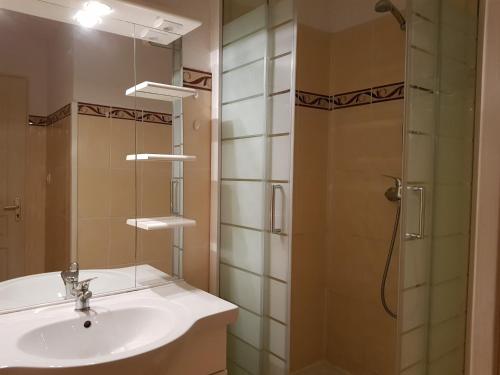 a bathroom with a sink and a shower at Studio proche pistes 2 pers - Arc 1600 - FR-1-411-494 in Arc 1600